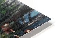 Sunwapta HD Metal print