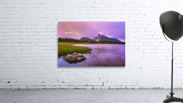Pink Hues Wall Preview
