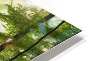  Peaceful Forest Path  HD Metal print