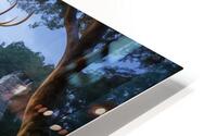 Forest Fantasy  HD Metal print