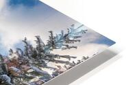  Winter Wonderland  HD Metal print