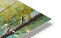 Whimsical Forest  HD Metal print