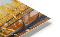 Autumn Harmony  HD Metal print