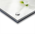 One Droplet Acrylic print