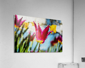 Tulip Mosaic Acrylic Print