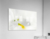 One Droplet Acrylic Print
