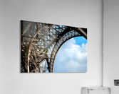 The Eiffel Tower  Acrylic Print