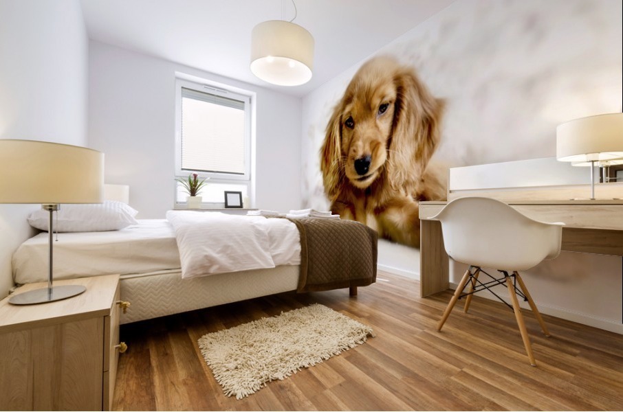 Cute Cocker Spaniel Puppy Mural print