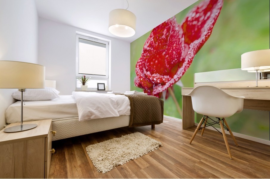 Raindrops and Roses Mural print