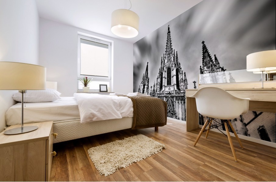 Barcelona Cathedral Mural print