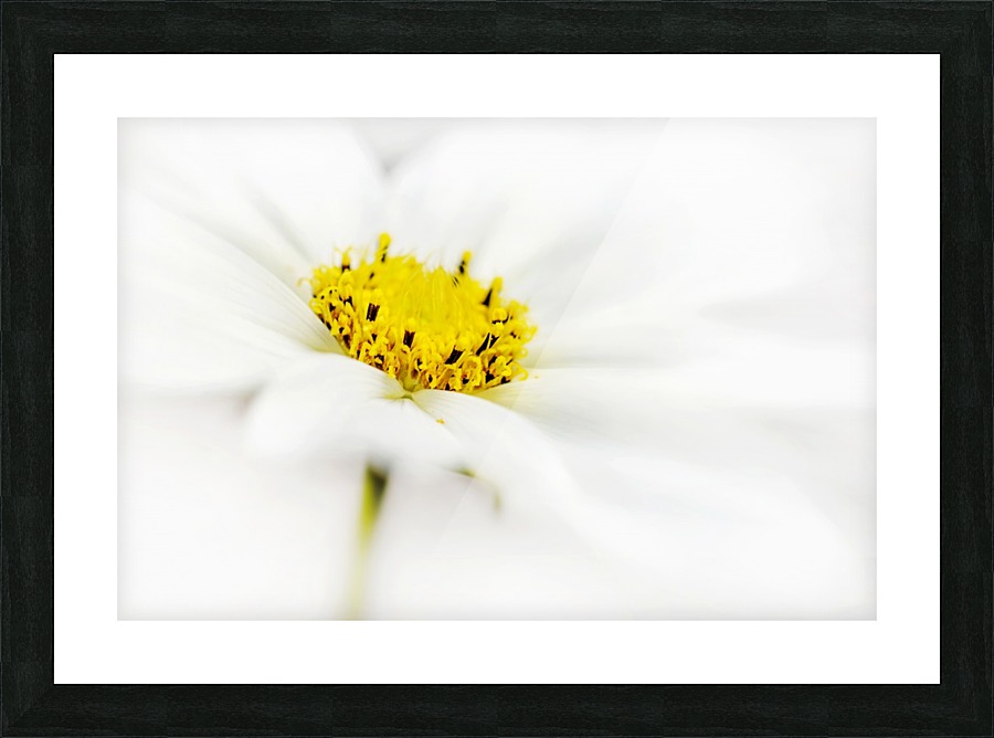 Simply White Picture Frame print