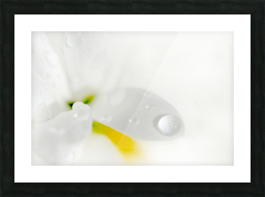 One Droplet Picture Frame print