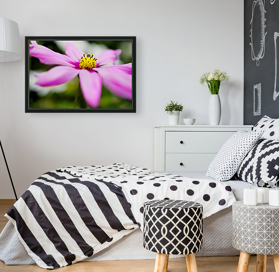 Pink and Flowing Reproduction