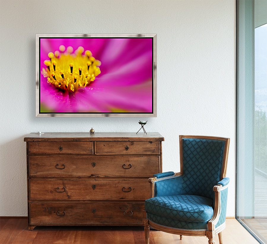 Pink Surprise Reproduction