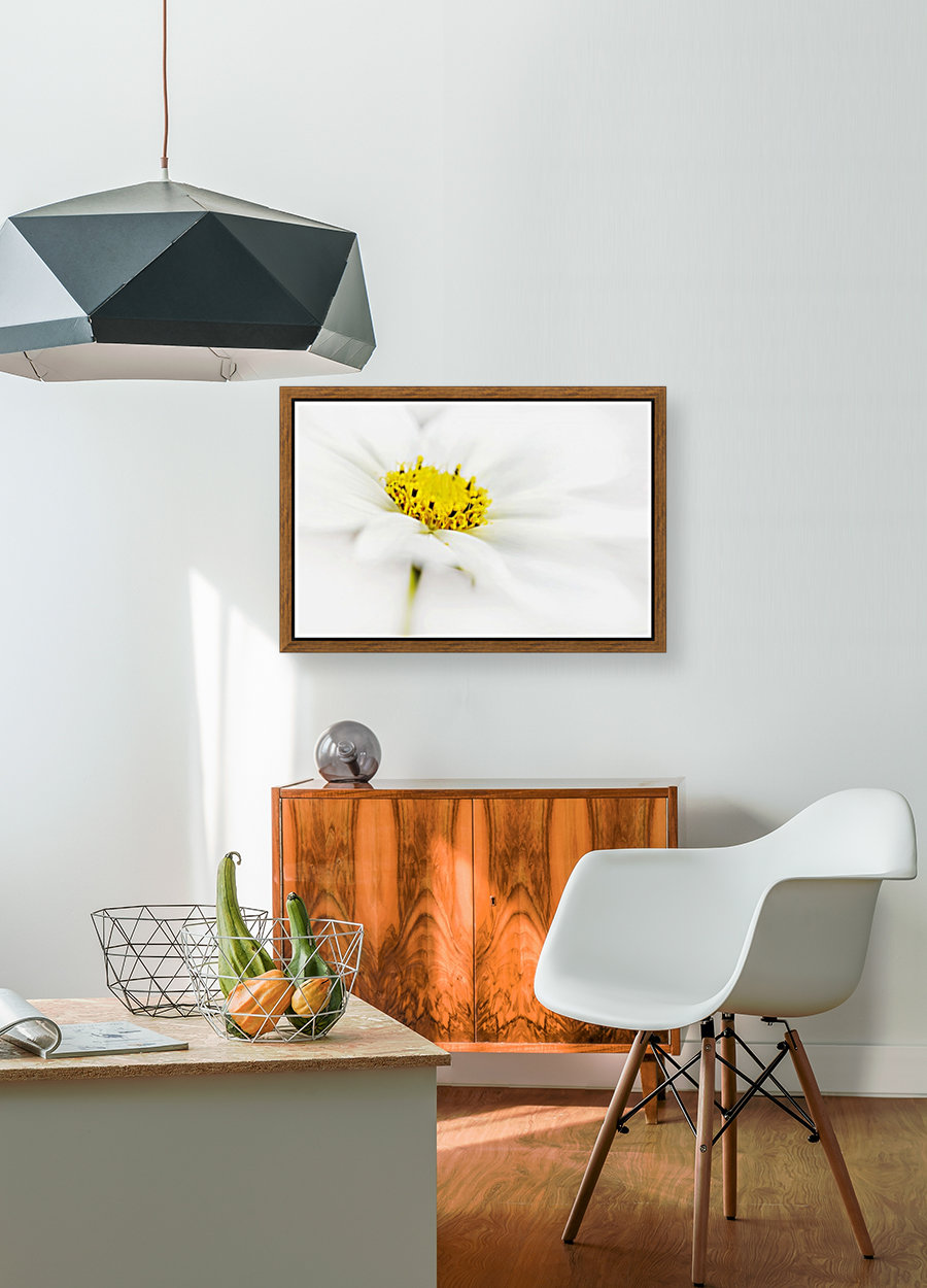Simply White Reproduction