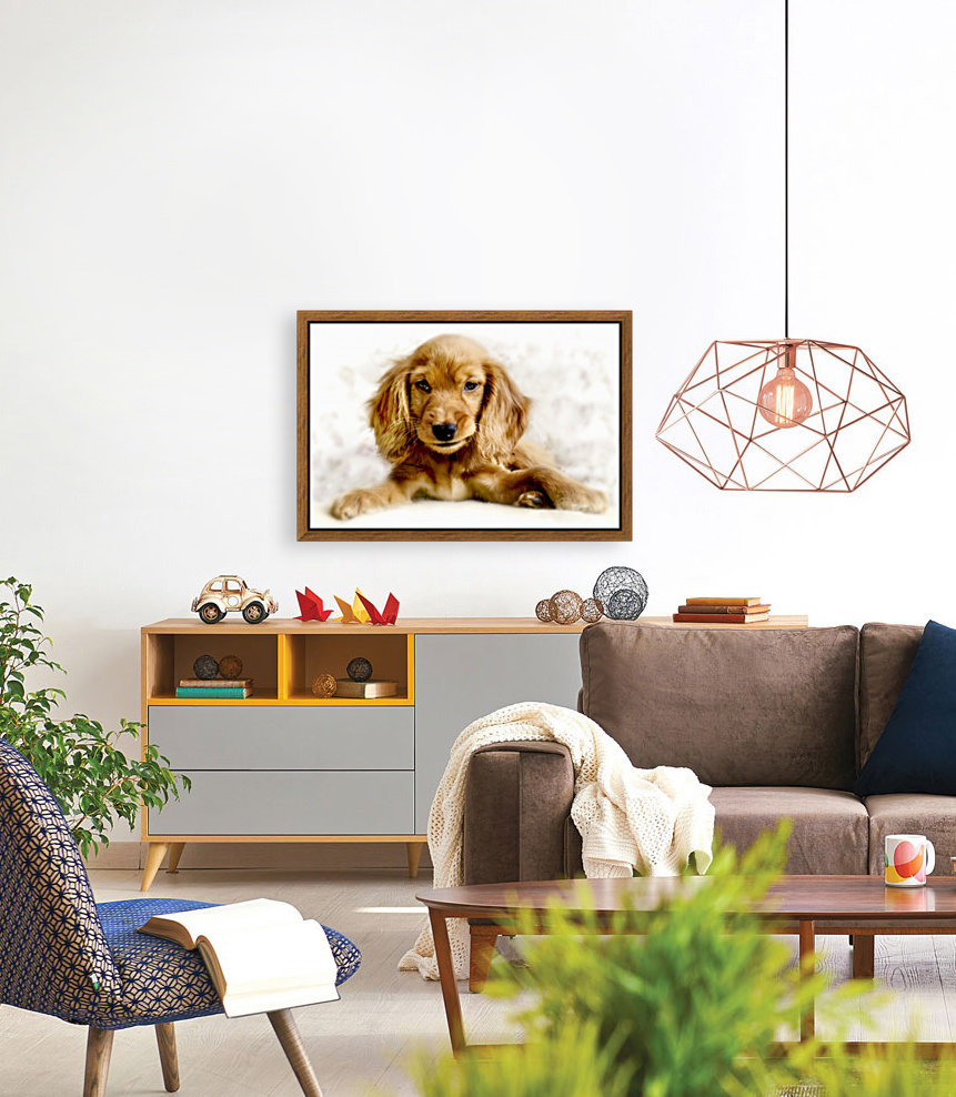 Cute Cocker Spaniel Puppy Reproduction