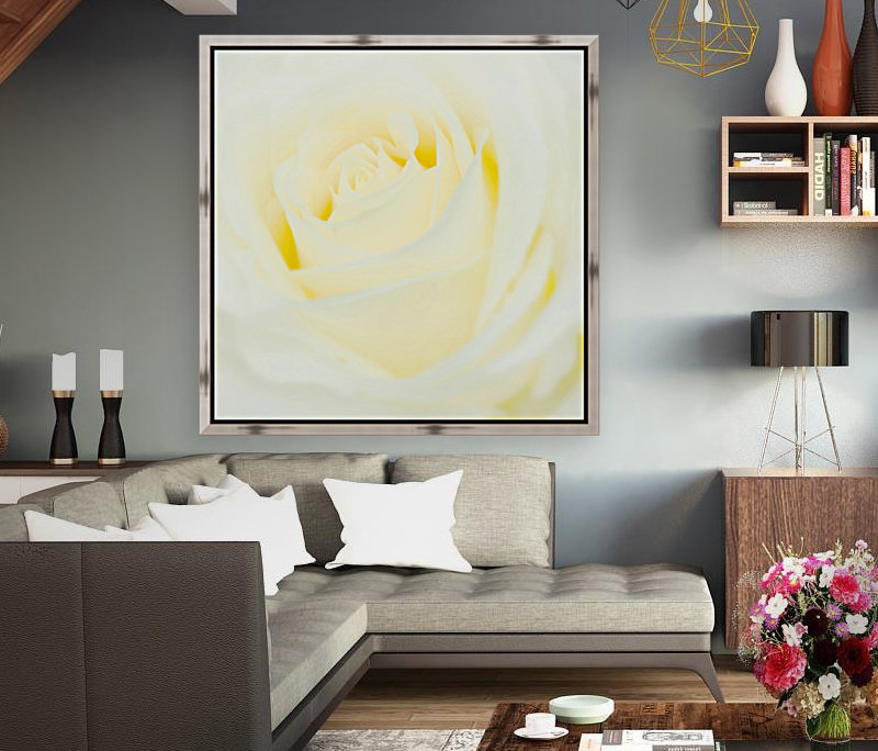 The White Rose Reproduction