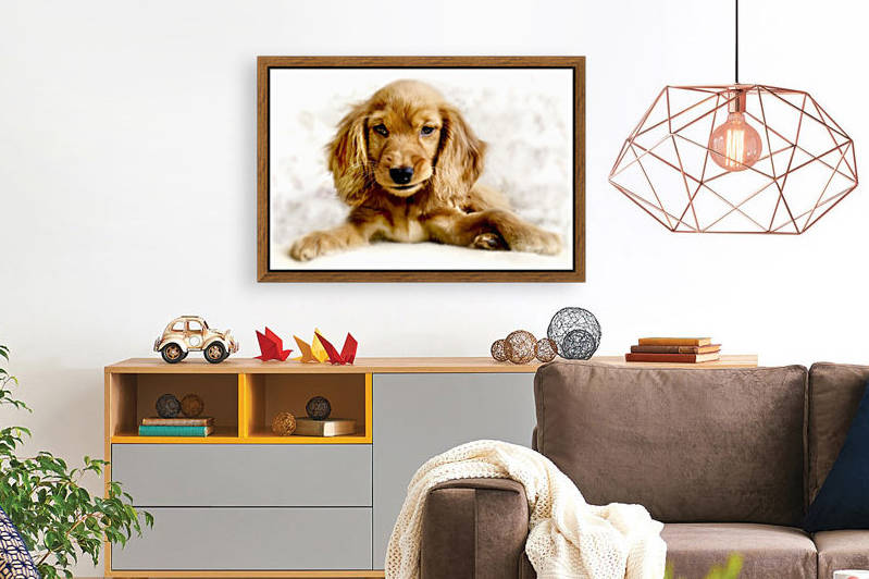 Cute Cocker Spaniel Puppy by Busybee-CR Photography