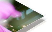Pink and Flowing HD Metal print