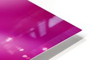 Pink Surprise HD Metal print