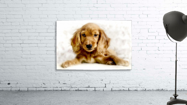 Cute Cocker Spaniel Puppy Wall Preview