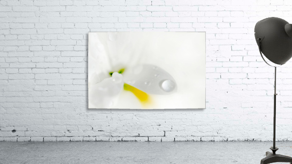 One Droplet Wall Preview