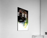 Contentment Acrylic Print