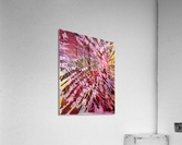 Pink Challenge Acrylic Print