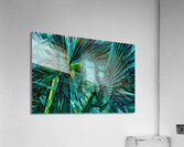 Green Spirit Acrylic Print