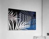 Day and Night Acrylic Print