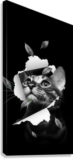 Prisoner In Love Canvas Print