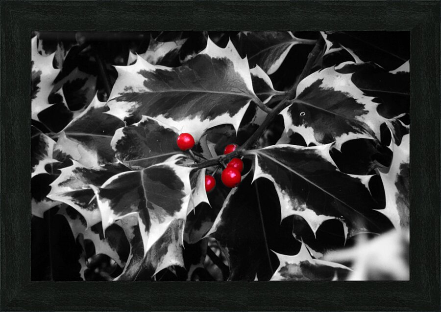 Before Twilight  Picture Frame print