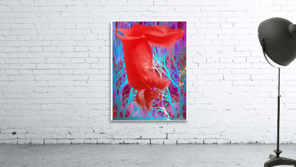 Rose Bud Wall Preview