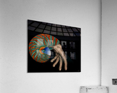 Introvertibrate Acrylic Print