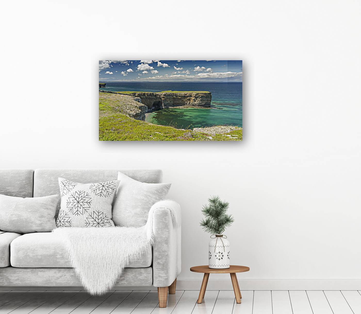 Jackmans Cove Reproduction