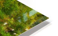 Manuels River HD Metal print