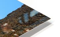 The Grebe s Nest HD Metal print