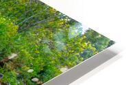 Manuels River Dreams HD Metal print
