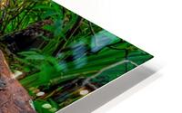 River Dreams HD Metal print