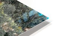 Manuels River  HD Metal print