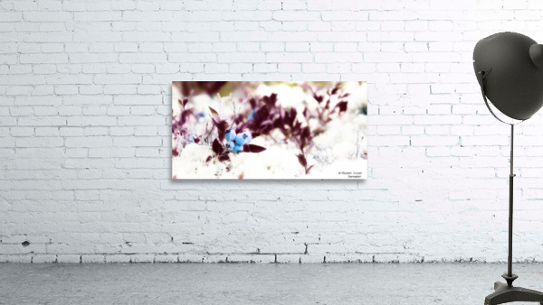 Winter BlueBerries Wall Preview