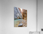 Zion Narrows Acrylic Print