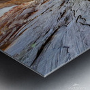 Zion Narrows Metal print