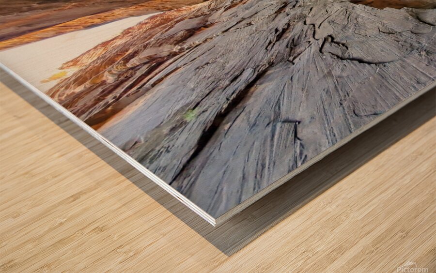 Zion Narrows Wood print