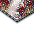 THE MULTIVERSE  Acrylic print