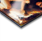 GEMINI  Acrylic print