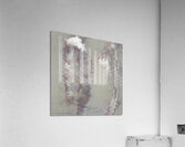 DOUBLE ENTENDRE  Acrylic Print