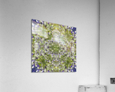 Forever Sapphire  Acrylic Print