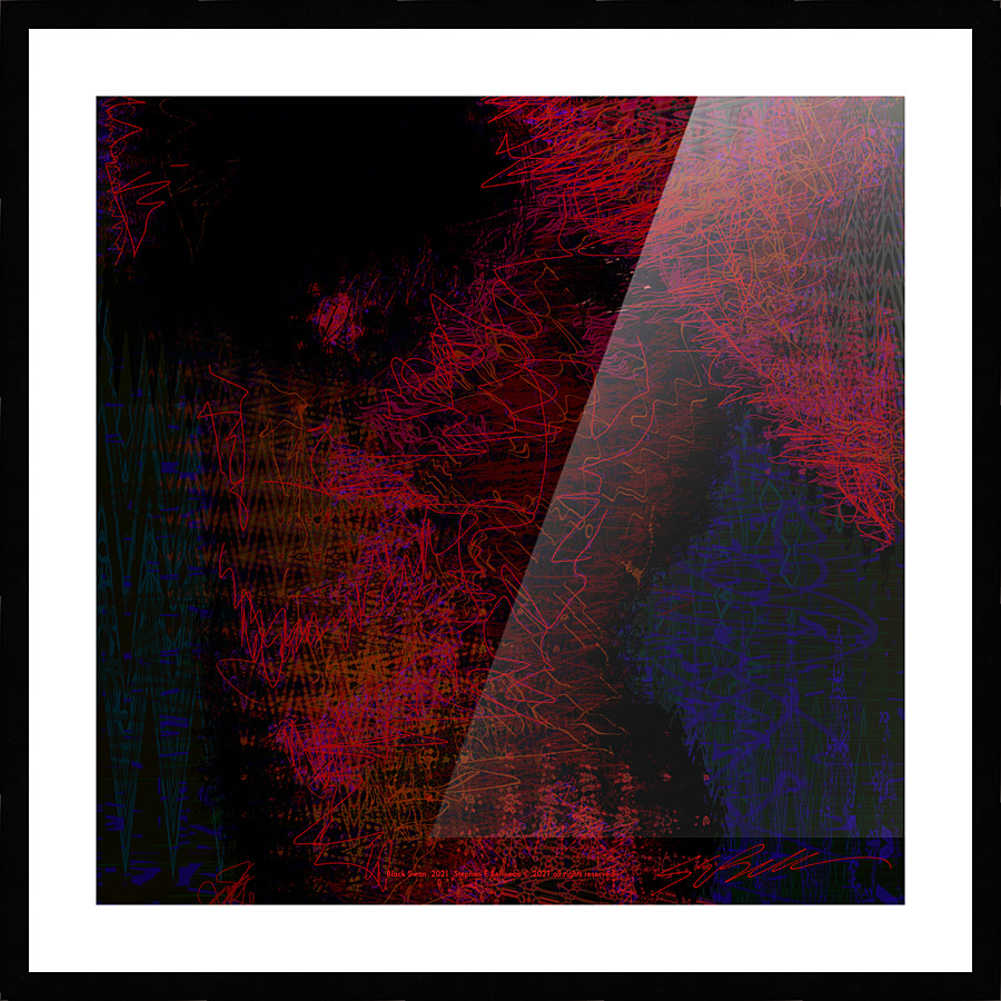 Black Swan  Picture Frame print