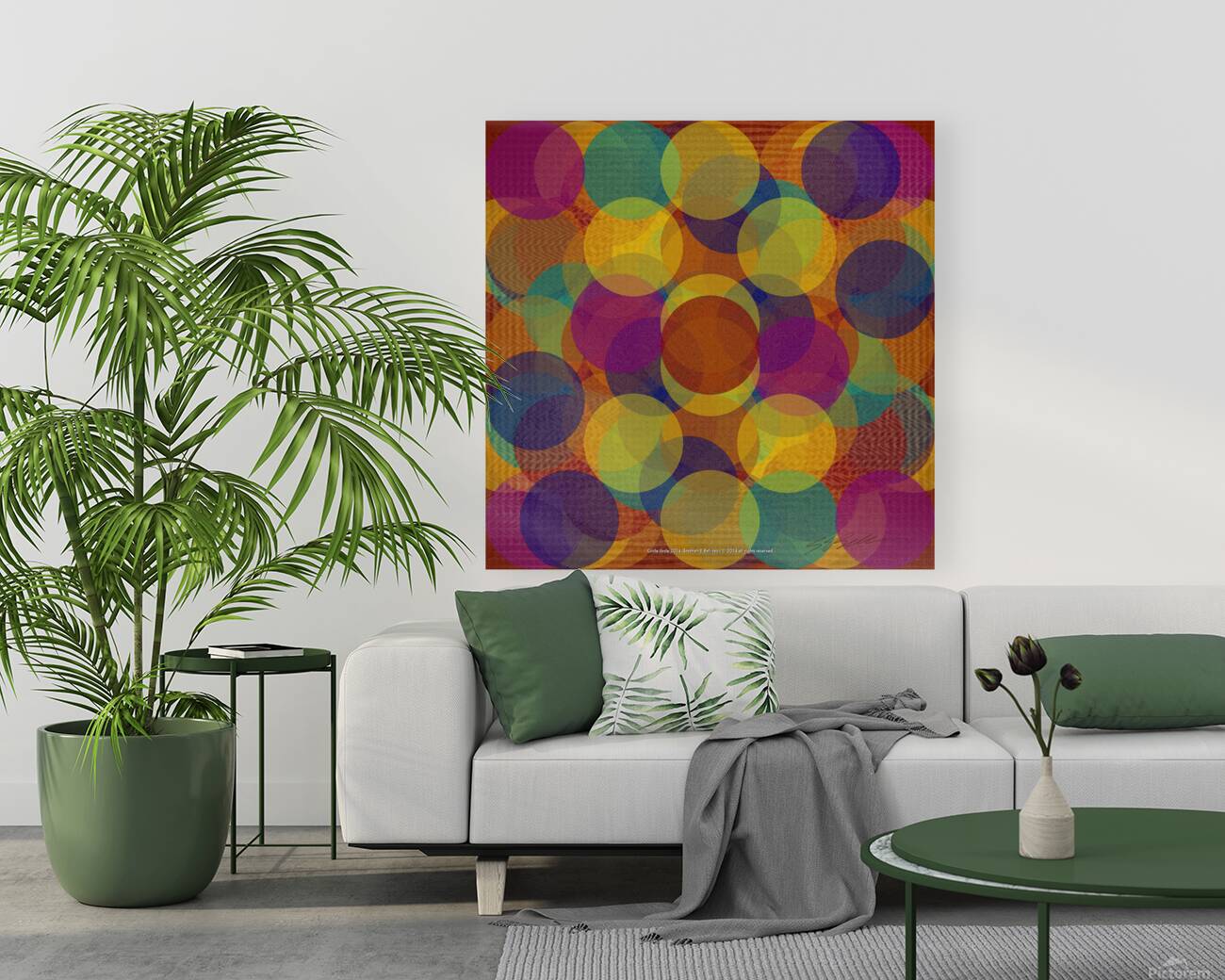 CIRCLE JIRCLE Reproduction